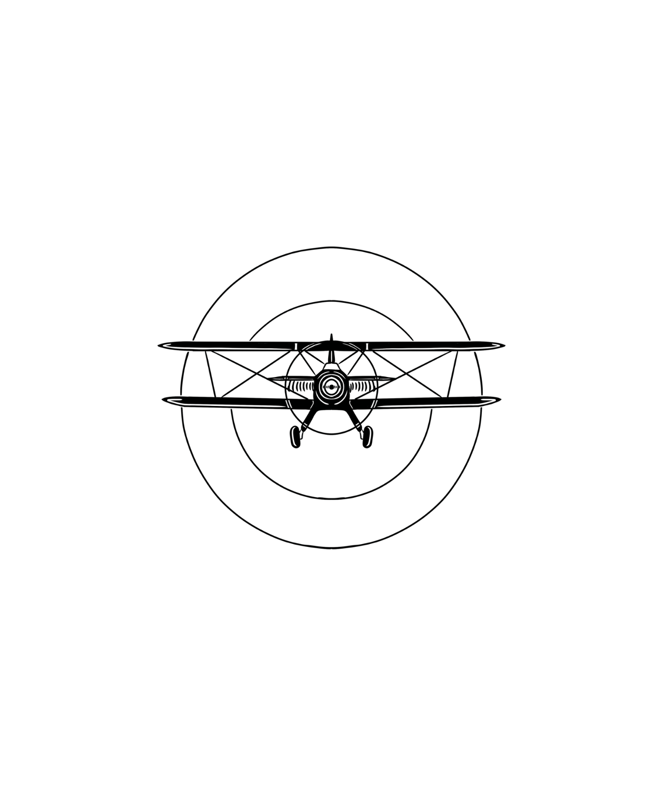 Virginia Biplanes